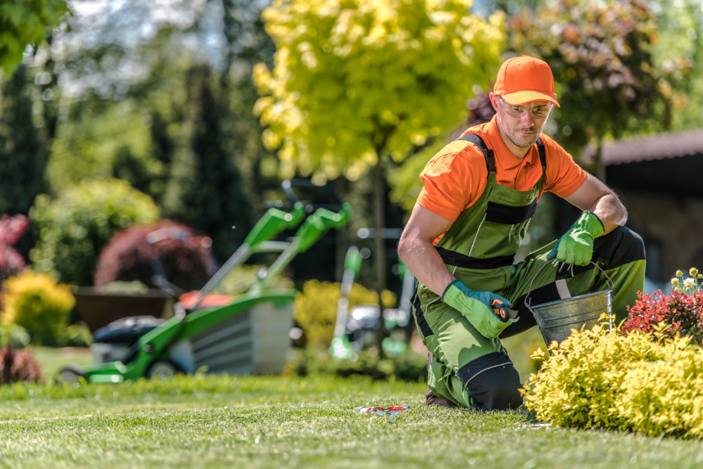 Landscaping Lawn Service Websites