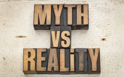 Top 10 Myths New Business Owners Make about Websites